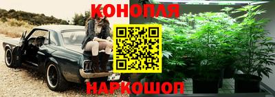 ешки Волжский