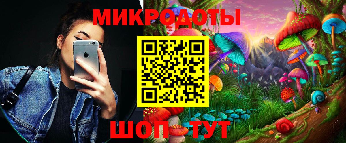 Псилоцибиновые грибы Psilocybine cubensis Мурманск