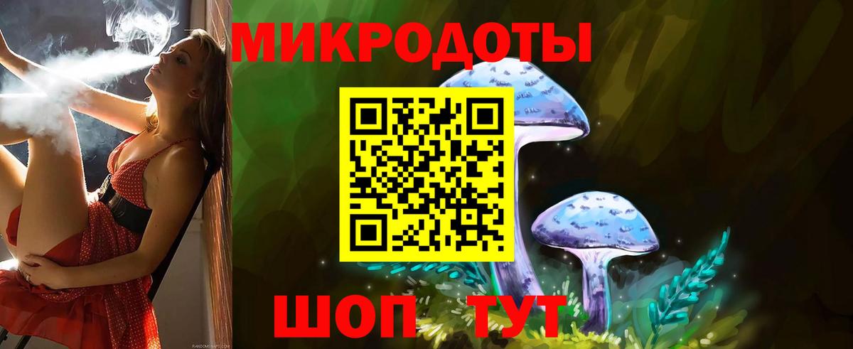 Псилоцибиновые грибы GOLDEN TEACHER  Вход с VPN  купить наркоту  Мурманск 